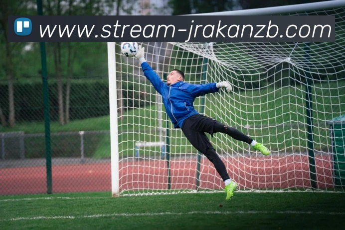 jrakan直播平台生态图